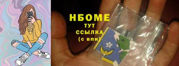 ПСИЛОЦИБИНОВЫЕ ГРИБЫ Каменка