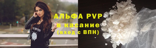 ПСИЛОЦИБИНОВЫЕ ГРИБЫ Каменка