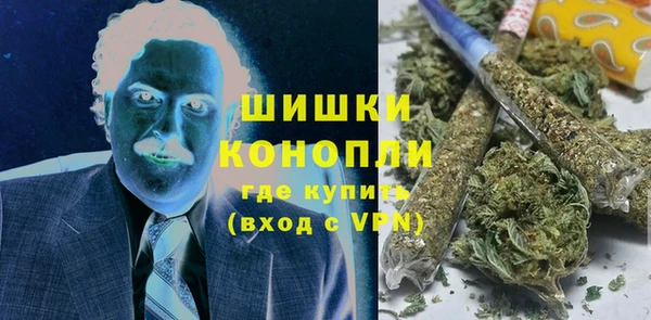 ПСИЛОЦИБИНОВЫЕ ГРИБЫ Каменка