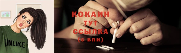 ПСИЛОЦИБИНОВЫЕ ГРИБЫ Каменка