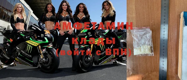 ПСИЛОЦИБИНОВЫЕ ГРИБЫ Каменка