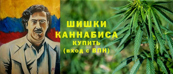 ПСИЛОЦИБИНОВЫЕ ГРИБЫ Каменка