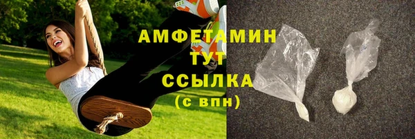 ПСИЛОЦИБИНОВЫЕ ГРИБЫ Каменка