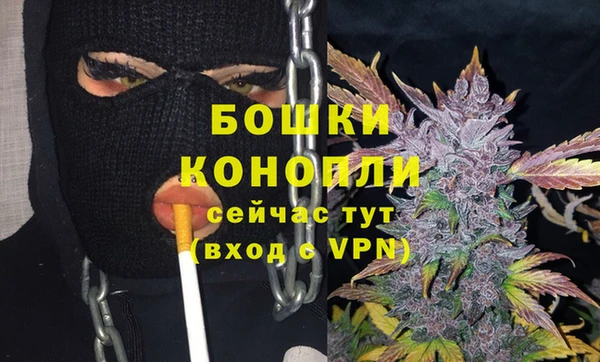 ПСИЛОЦИБИНОВЫЕ ГРИБЫ Каменка