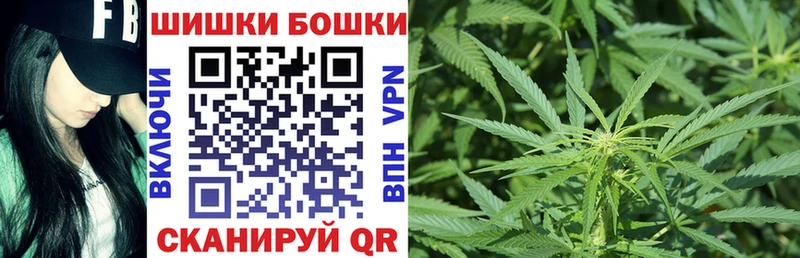 Купить закладки  Находка  Бошки Шишки THC 21% 